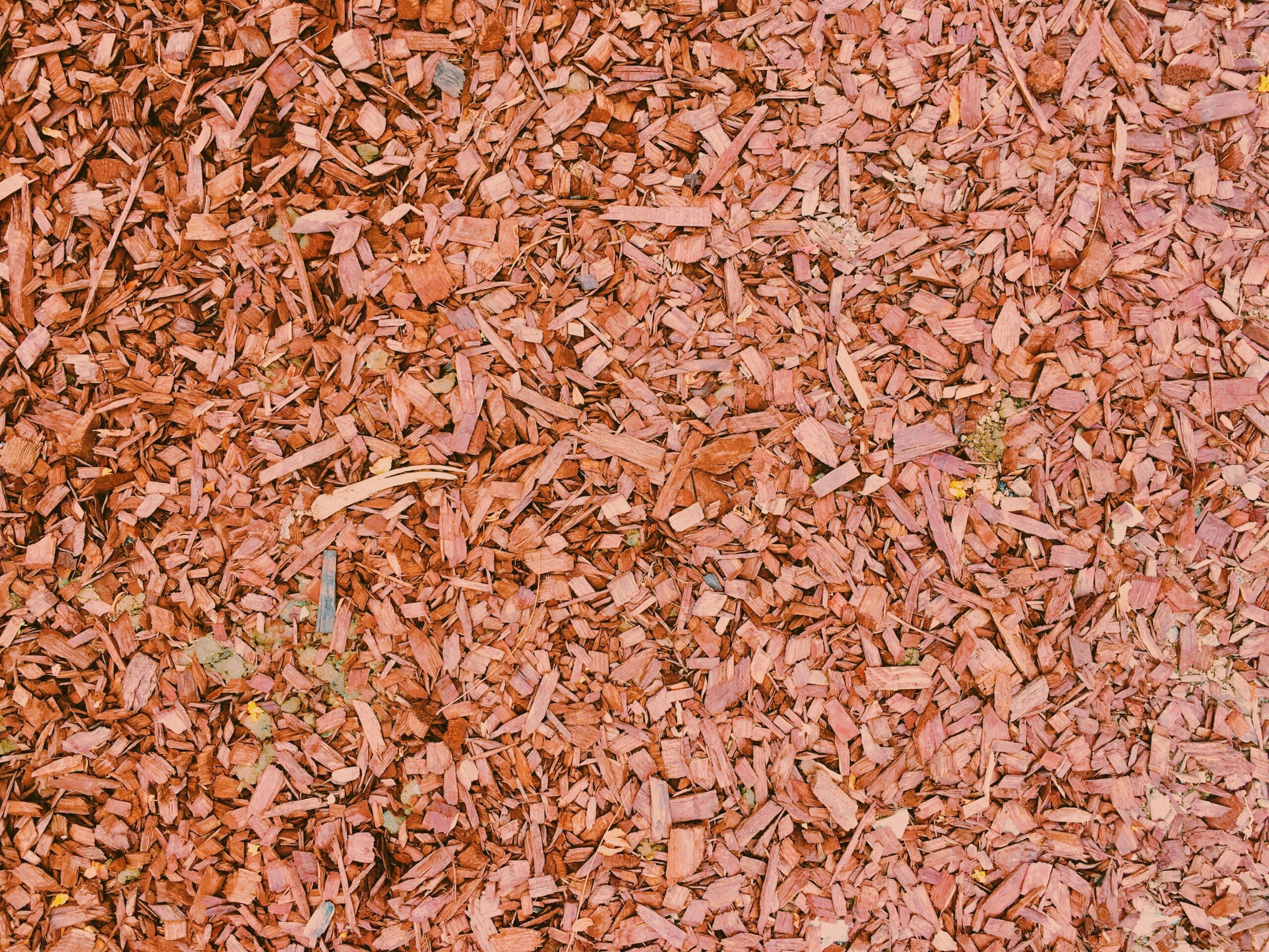 Is boomschors een goede keuze voor je tuin? Dit zijn de nadelen