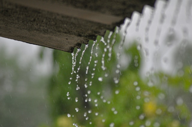 Moderne woning met regenwateropvang en groendak